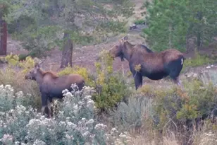 401 Hwy 72, Golden, CO 80403 - Photo 17