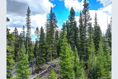 0 Dry Gulch Road, Fairplay, CO 80440 - Photo 19