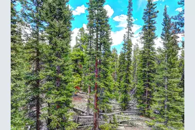 0 Dry Gulch Road, Fairplay, CO 80440 - Photo 17