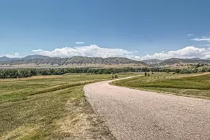 8896 San Antonio St, Littleton, CO 80125 - Photo 5
