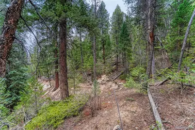 33864 Bergen View Trail, Evergreen, CO 80439 - Photo 13