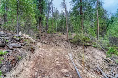 33864 Bergen View Trail, Evergreen, CO 80439 - Photo 11
