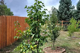 570 Columbine Ave, Golden, CO 80401 - Photo 23