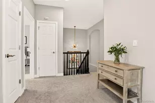 10098 Bluffmont Ln, Lone Tree, CO 80124 - Photo 19