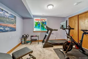 749 Redwood Ct, Highlands Ranch, CO 80126 - Photo 39