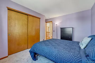 749 Redwood Court, Highlands Ranch, CO 80126 - Photo 29