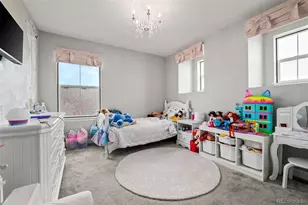 4061 Forever Cir, Castle Rock, CO 80109 - Photo 31