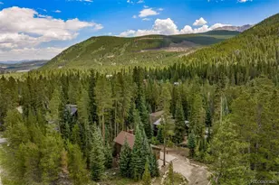 17 Blue Grouse Trail, Blue River, CO 80424 - Photo 45