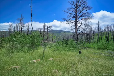 1185 Bechtel Place, Fort Garland, CO 81133 - Photo 1