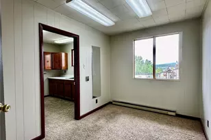 919 Harrison Ave, Leadville, CO 80461 - Photo 15