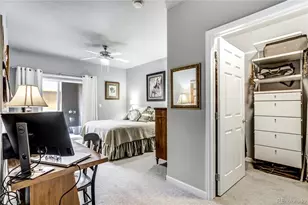 4572 Copeland Loop, Highlands Ranch, CO 80126 - Photo 29