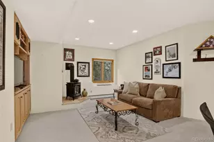 9193 S Buffalo Dr, Littleton, CO 80127 - Photo 39