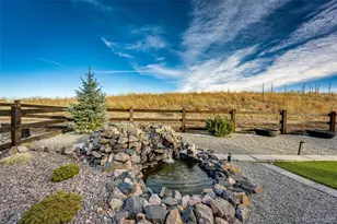 439 Rogers Wy, Castle Rock, CO 80104 - Photo 19