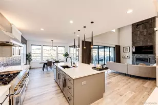 439 Rogers Wy, Castle Rock, CO 80104 - Photo 31