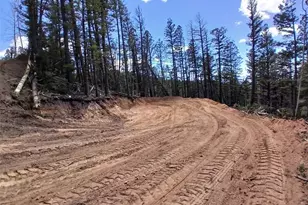 5653 Balleroy Rd, Fort Garland, CO 81133 - Photo 1