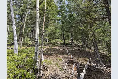 5653 Balleroy Road, Fort Garland, CO 81133 - Photo 11