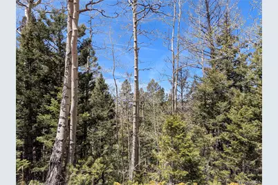 5653 Balleroy Road, Fort Garland, CO 81133 - Photo 7