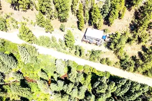 7992 Co Rd 43, Bailey, CO 80421 - Photo 11