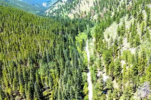 7992 Co Rd 43, Bailey, CO 80421 - Photo 49