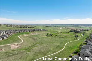 6682 Angelique Ave, Castle Rock, CO 80108 - Photo 49