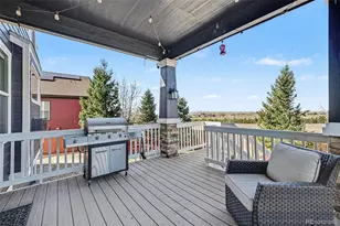 13995 Albion Way, Thornton, CO 80602 - Photo 31