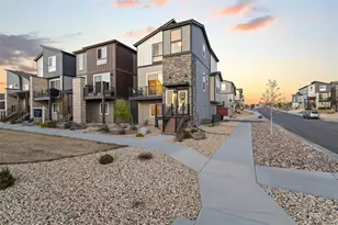 6830 Lily Mountain, Colorado Springs, CO 80923 - Photo 31