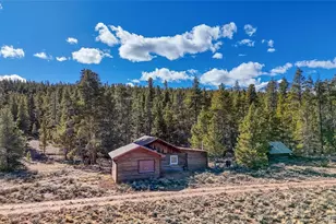 15 Co Rd 10, Leadville, CO 80461 - Photo 5