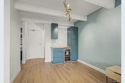 777 N Washington Street #201, Denver, CO 80203 - Photo 5
