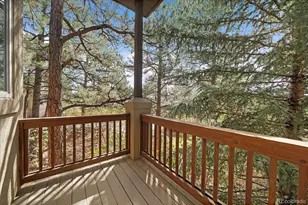 1332 Forest Trails Dr, Castle Pines, CO 80108 - Photo 29