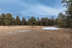 8830 Blue Creek Rd, Evergreen, CO 80439 - Photo 13