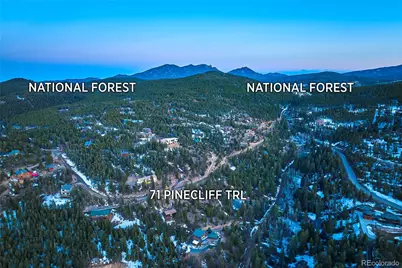 71 Pinecliff Trail, Nederland, CO 80466 - Photo 5