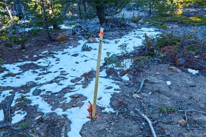 71 Pinecliff Trail, Nederland, CO 80466 - Photo 17