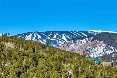 71 Pinecliff Trail, Nederland, CO 80466 - Photo 3