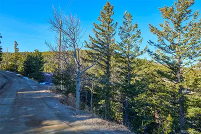 71 Pinecliff Trail, Nederland, CO 80466 - Photo 13