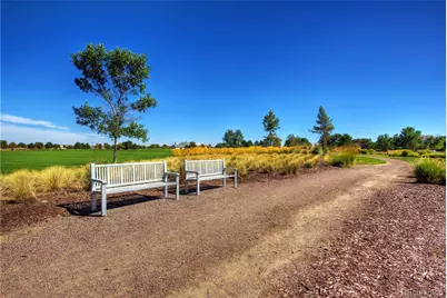 16681 E 106th Way, Commerce City, CO 80022 - Photo 47