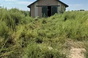 16154 Co Rd 24, Sterling, CO 80751 - Photo 3