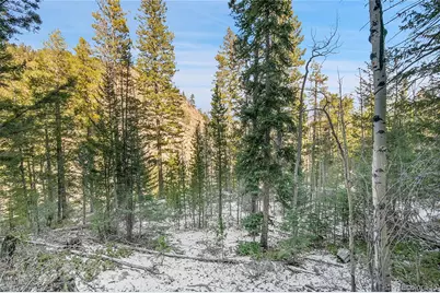Clear Creek Rd Road, Evergreen, CO 80439 - Photo 13