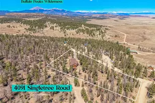 4091 Singletree Rd, Hartsel, CO 80449 - Photo 35