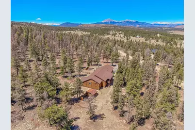 4091 Singletree Road, Hartsel, CO 80449 - Photo 3