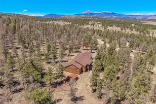 4091 Singletree Rd, Hartsel, CO 80449 - Photo 3