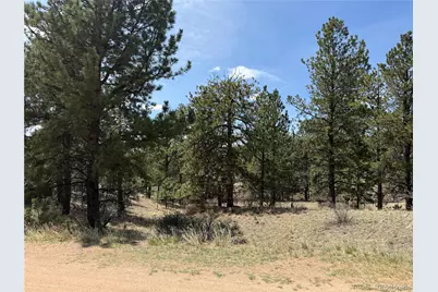 99 Cheyenne Way, Florissant, CO 80816 - Photo 1