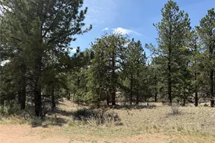 99 Cheyenne Way, Florissant, CO 80816 - Photo 1