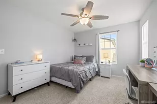 2928 Low Meadow Blvd, Castle Rock, CO 80109 - Photo 29