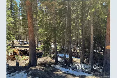 192 Kimmes Lane, Breckenridge, CO 80424 - Photo 17