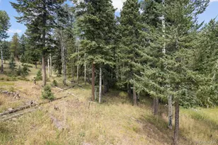 6791 Brook Forest Dr, Evergreen, CO 80439 - Photo 41