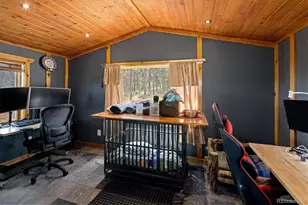 6791 Brook Forest Dr, Evergreen, CO 80439 - Photo 25