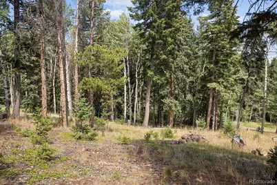 6791 Brook Forest Drive, Evergreen, CO 80439 - Photo 45