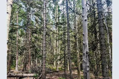 8.5 Acres Phillips Road, Fort Garland, CO 81133 - Photo 27