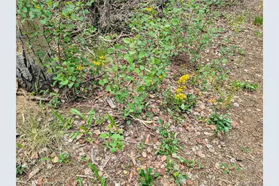 8.5 Acres Phillips Road, Fort Garland, CO 81133 - Photo 19