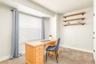 704 Albion St, Denver, CO 80220 - Photo 23